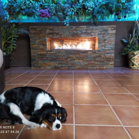 펜션 3 Bdr House Near La Zenia Private Lounge Terraces, Fire Places, Bbq, Kitchen, Parking